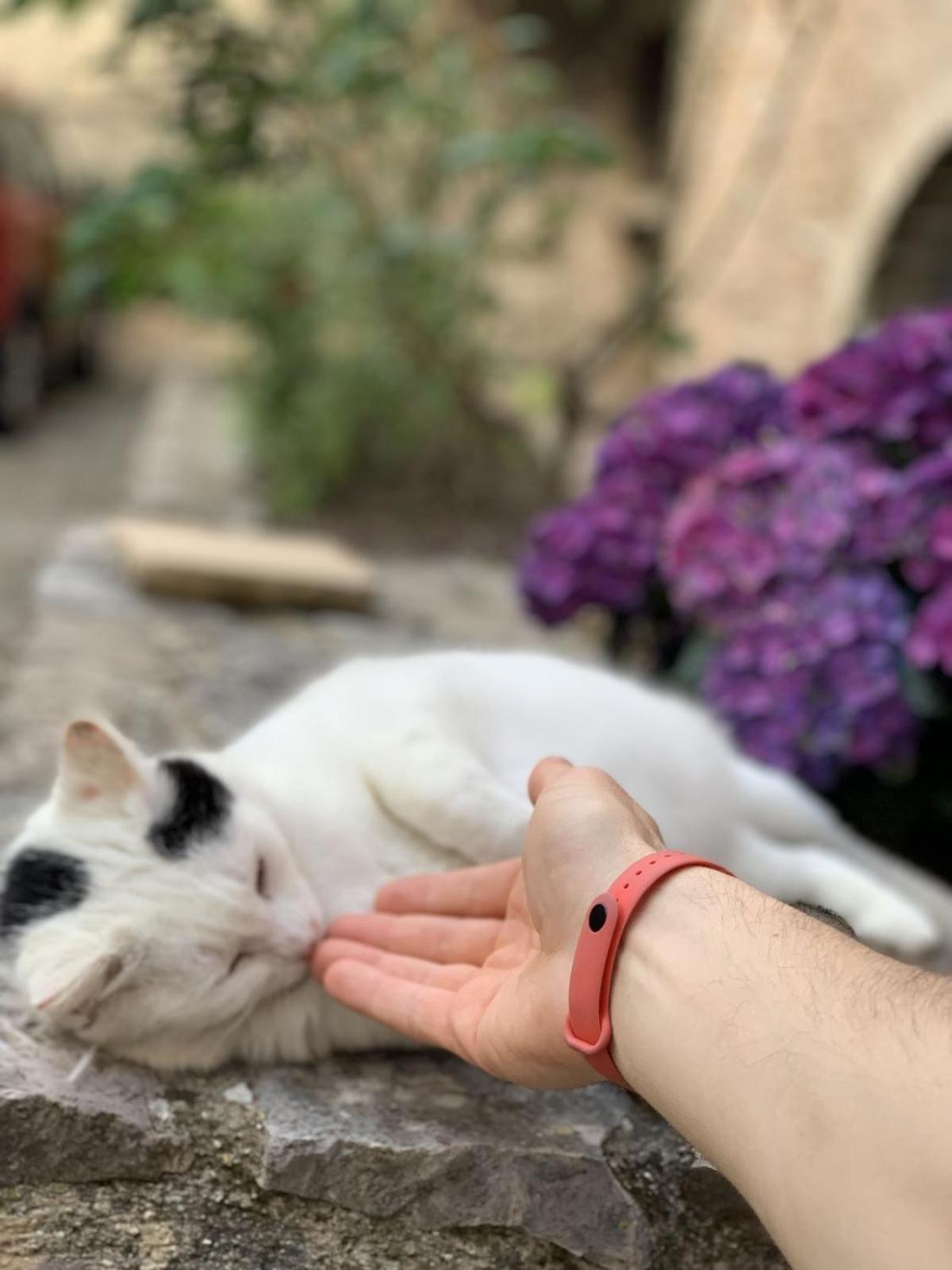 Lucky Garden Bed and Breakfast Bevagna Εξωτερικό φωτογραφία